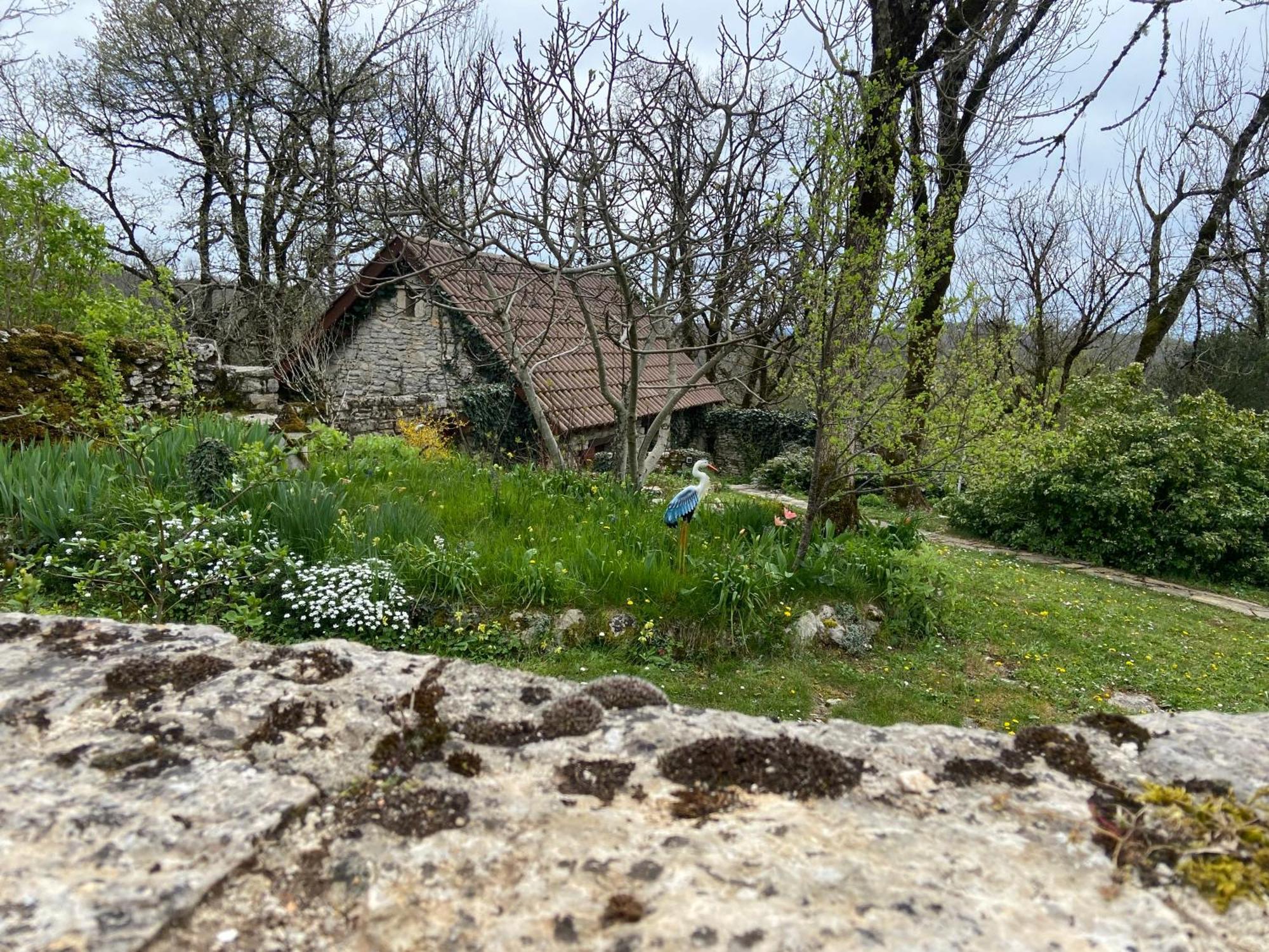 Gites Sur Le Causse De St Chels, Charme Sport Et Detente Saint-Chels Екстер'єр фото