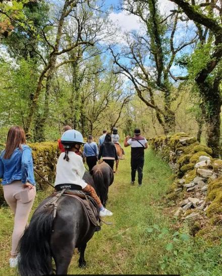 Gites Sur Le Causse De St Chels, Charme Sport Et Detente Saint-Chels Екстер'єр фото